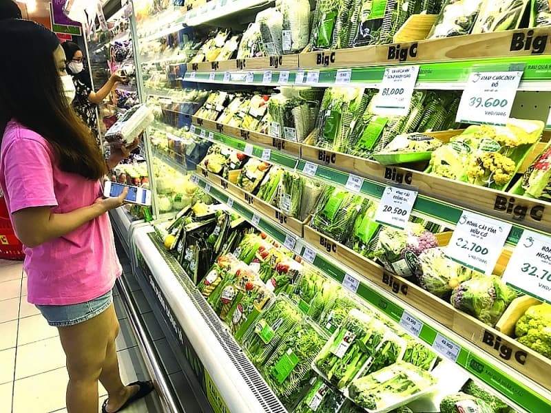 Promote production and export of vegetarian food