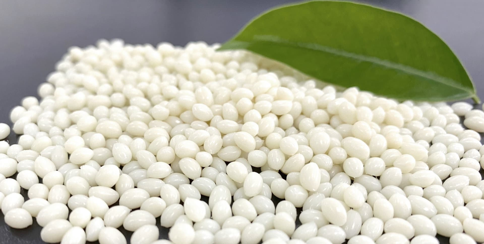 An Phat Holdings' bio-plastic materials to be distributed throughout North America