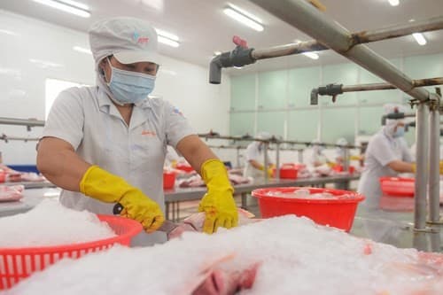 Ukraine conflict, COVID-19 make it double-whammy for Vietnamese businesses