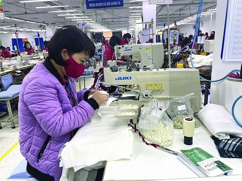 Exports see impressive growth after three years of implementing CPTPP