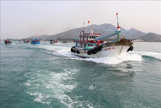 Ninh Thuan fights IUU fishing to boost sustainable maritime economy