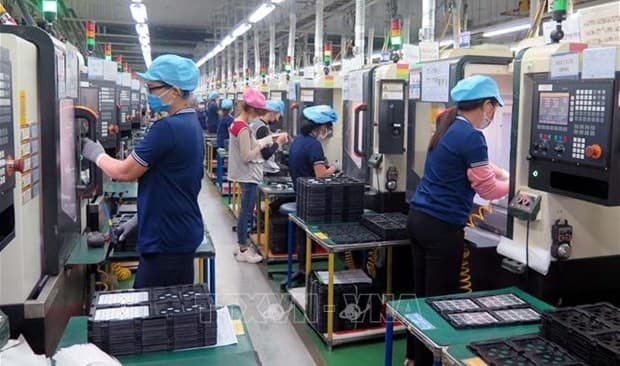 Vietnam needs national action plan to promote responsible business practices: workshop