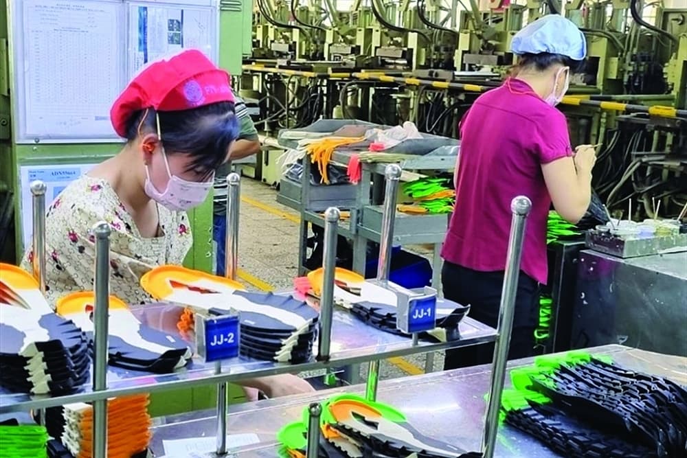 MoF submits to the Government to extend the deadline for payment of taxes