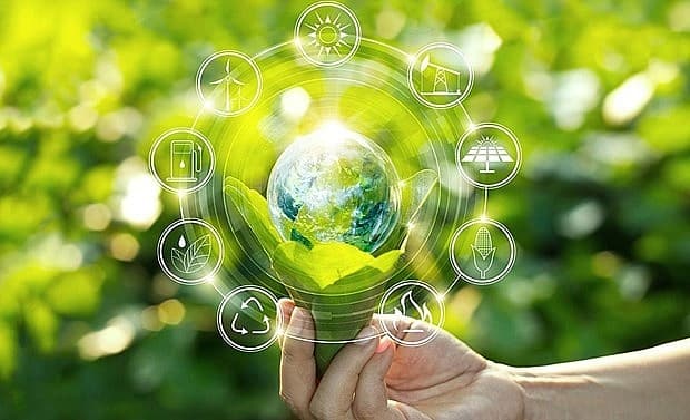 Vietnam eyes transition to green production for sustainable value