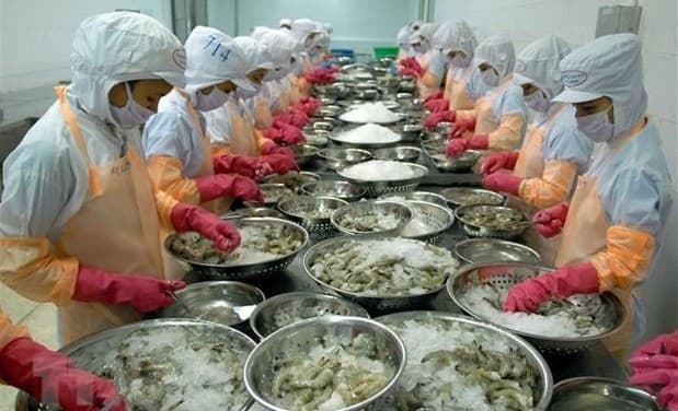 Business matching webinar on seafood products with EU held