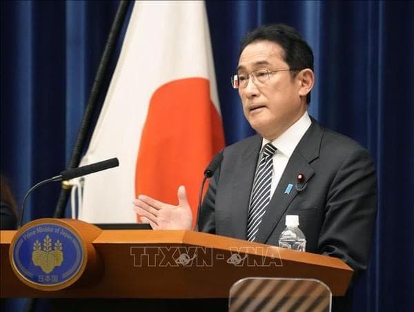 Japan considers Viet Nam extensive strategic partner: Official