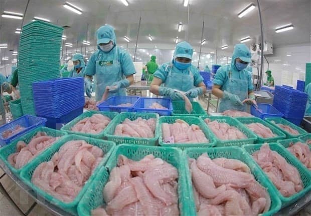 Strong Demand to Fuel Tra Fish Exports in Q2: VASEP
