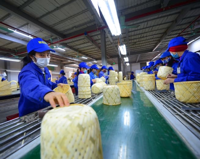 Fostering Education Reform, Labor Market Transformation for Sustainable Poverty Reduction