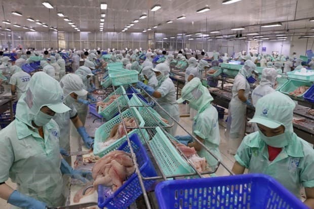 Six more pangasius processing factories eligible to export to US