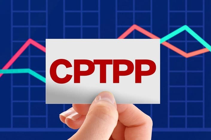 CPTPP helps leverage Viet Nam-Australia investment cooperation