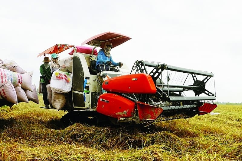 Vietnamese rice opens the door to ASEAN
