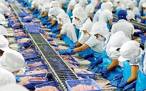 Market ends bullish on strong buying forces