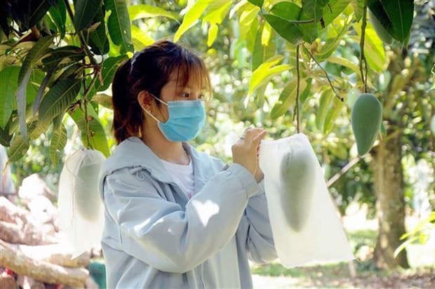 UK attaches importance to agriculture cooperation with Vietnam