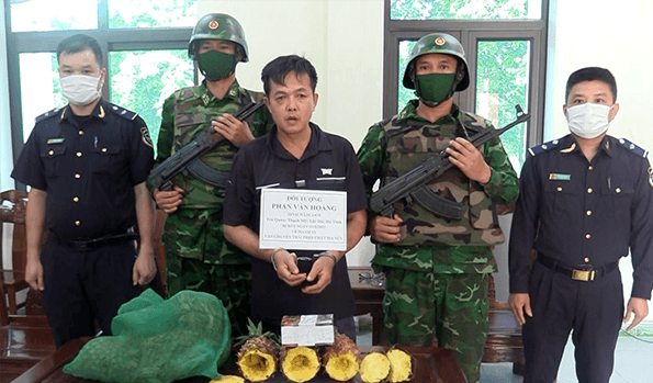Ha Tinh Customs coordinated to arrest a person hiding drugs in pineapples