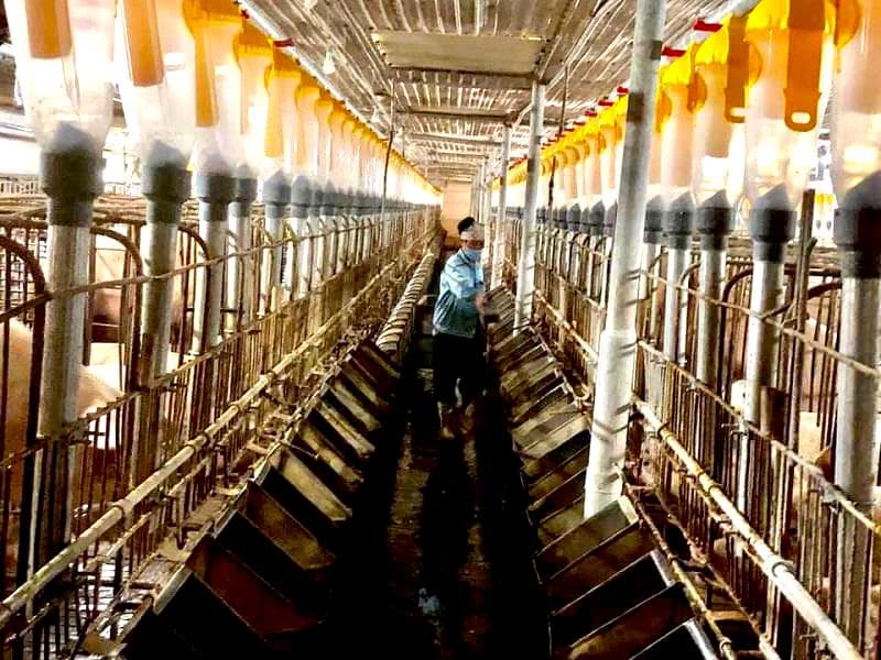 Hanoi promotes application of hi-tech farming models