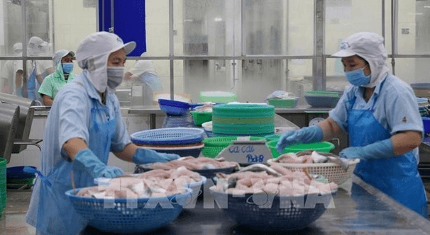 Vietnam’s aquatic product exports to China to grow this year: official