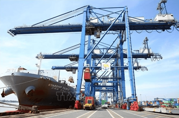 Domestic firms to receive consultations to strengthen export to RCEP markets