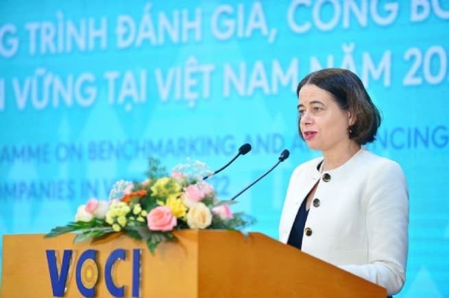 Promoting Responsible Business and Human Rights in Vietnam