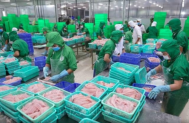 Seafood export turnover expected to surpass $10 billion