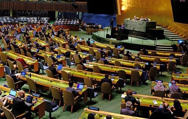 Vietnam to help promote consensus as UN General Assembly Vice President: official