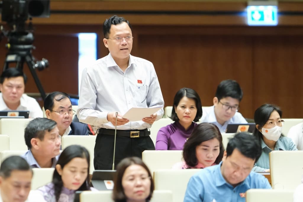 National Assembly member: exports have increased strongly but depend on FDI
