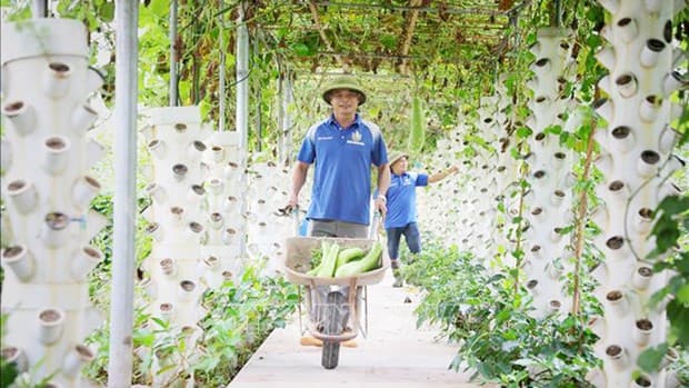 Bac Giang strives to raise agricultural production value