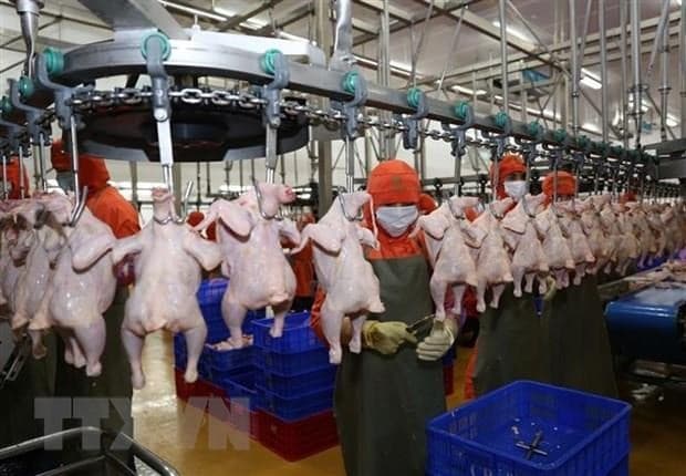Malaysia partially lifts chicken export ban