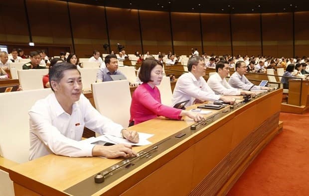 Revised Law on Intellectual Property Passed