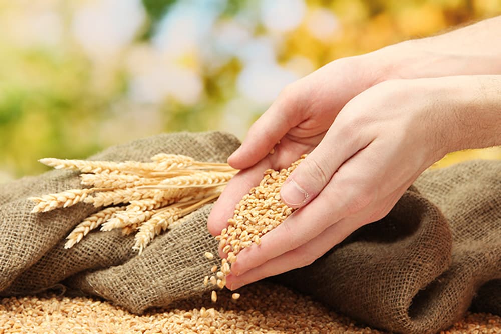 Inflation pressure: Bigger risk from surging food prices