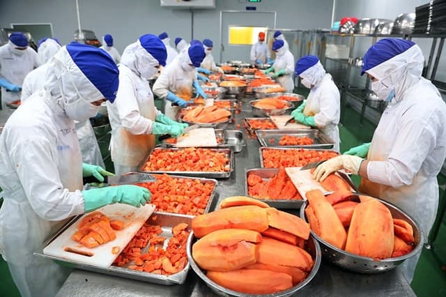 VN agriculture needs modern processing industry