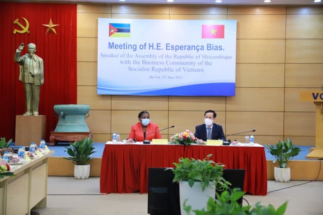 Mozambique Seeking More Investment Flows from Vietnam