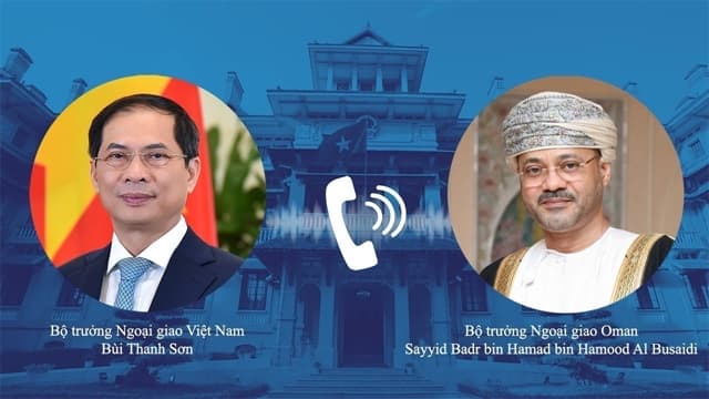 Việt Nam forges multi-faceted cooperation with Oman, UAE