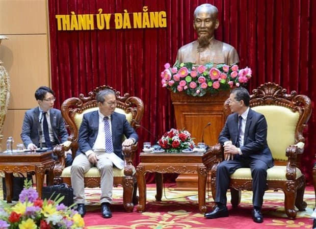 Da Nang and Japanese localities to look for more successful partnerships