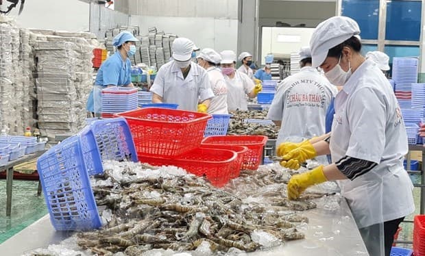 Efforts made to boost seafood cooperation between Vietnam, India