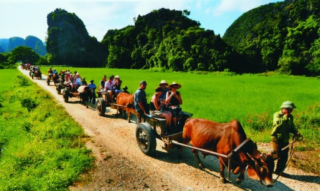 Advancing Responsible Business, Lawful Rights of Employees to Sustain Tourism Development