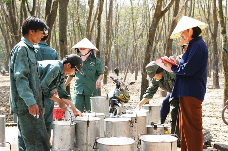 Rubber groups aim to cut China reliance