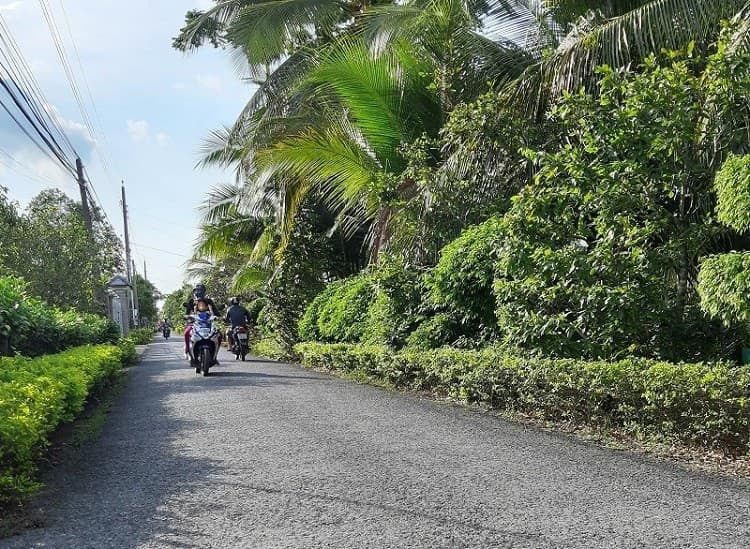 New vitality in Giang Thanh district (Kien Giang)