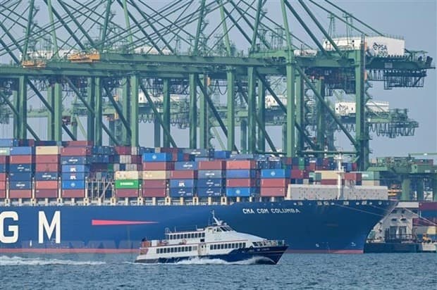 Vietnam's economy is expected to perform well: AMRO