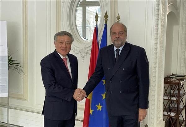 France, Germany to help Vietnamese court system with personnel training