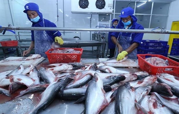 Tra fish exports expected to beat target