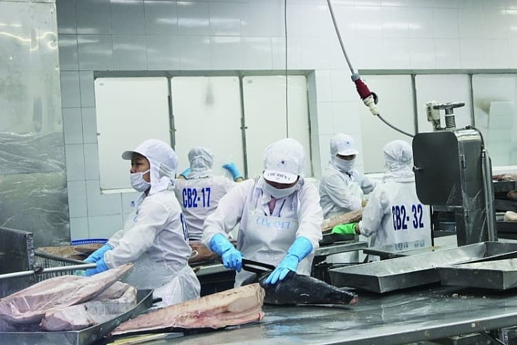 How would US tax reductions affect Vietnam's seafood exports?