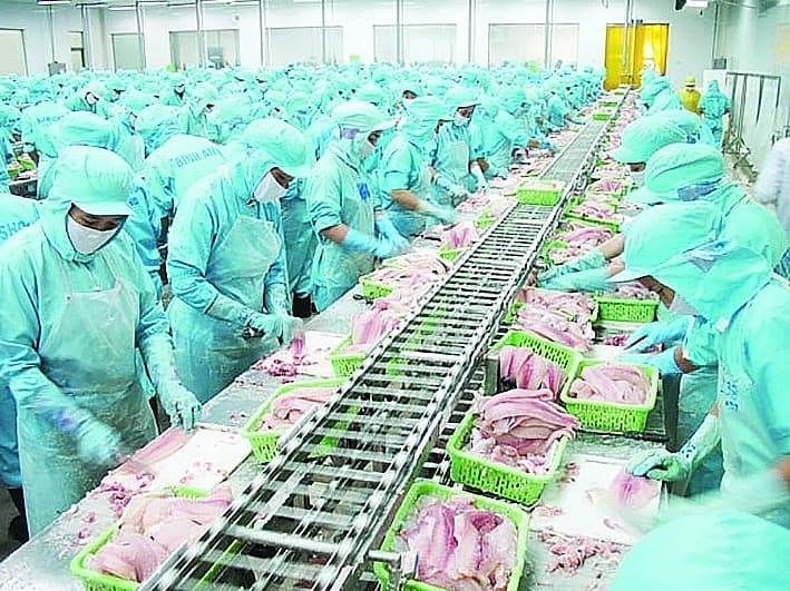 Seafood export: difficulties after growth
