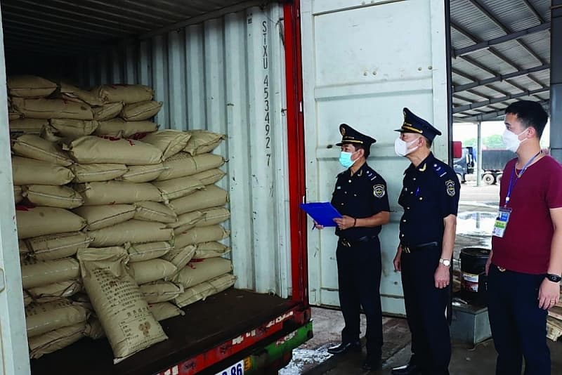 Exporting in Mong Cai - a “safe green zone”