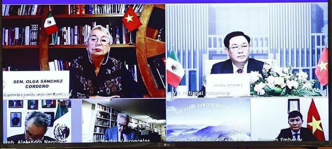 Top legislators of Vietnam, Mexico hold online talks