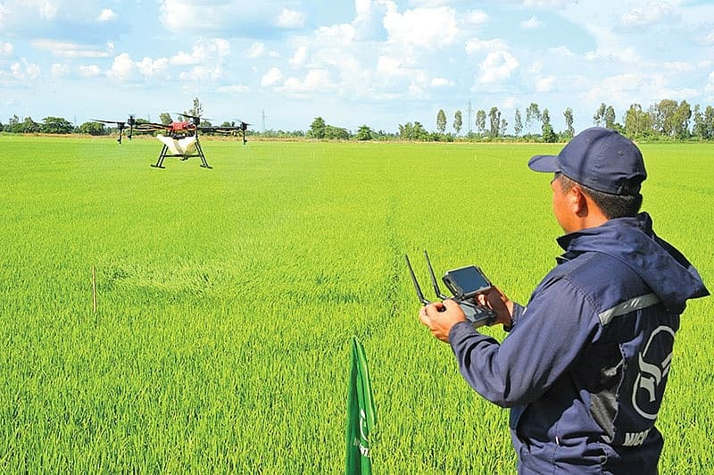 Localities focus on digital overhaul to boost trade