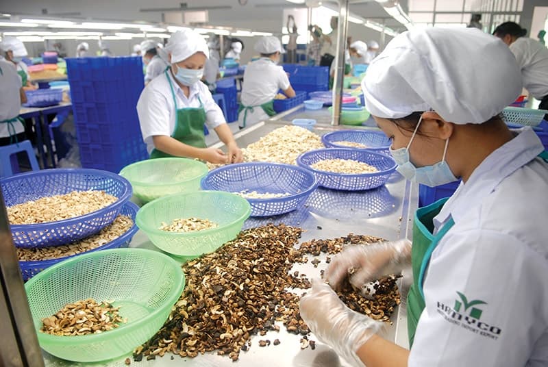 Obstacles in logistics harming agro-exports