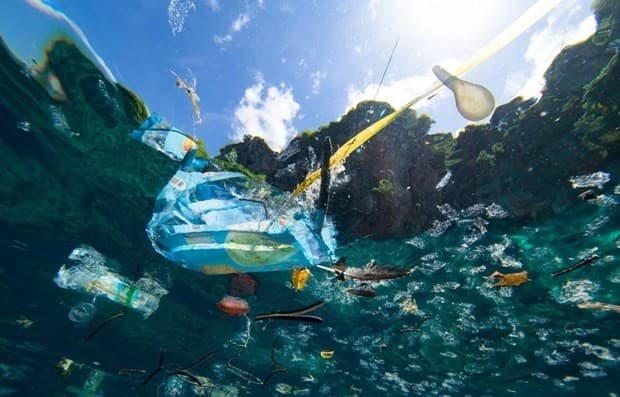 Press award on ocean plastic pollution reduction launched