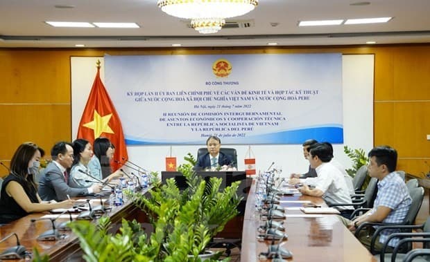 Vietnam ready to beef up economic ties with Peru: Deputy Minister
