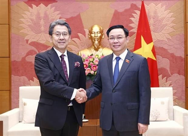 Vietnam wants JBIC to help access funding for green energy and energy transition projects: NA Chairman