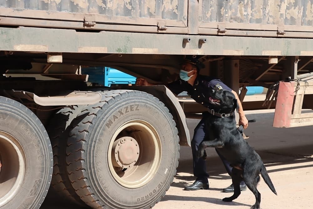 Preventing drugs in Quang Tri Border Gate